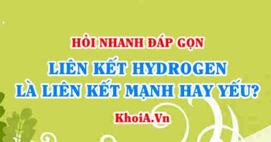 LIên kết hydrogen được hình thành như thế nào? Liên kết hydrogen là liên kết mạnh hay yếu? - Hỏi đáp Hoá 10